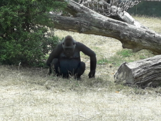 20180707_152650